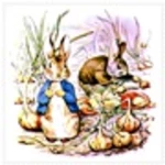 the tale of benjamin bunny android application logo